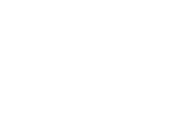 Net Holding logosu